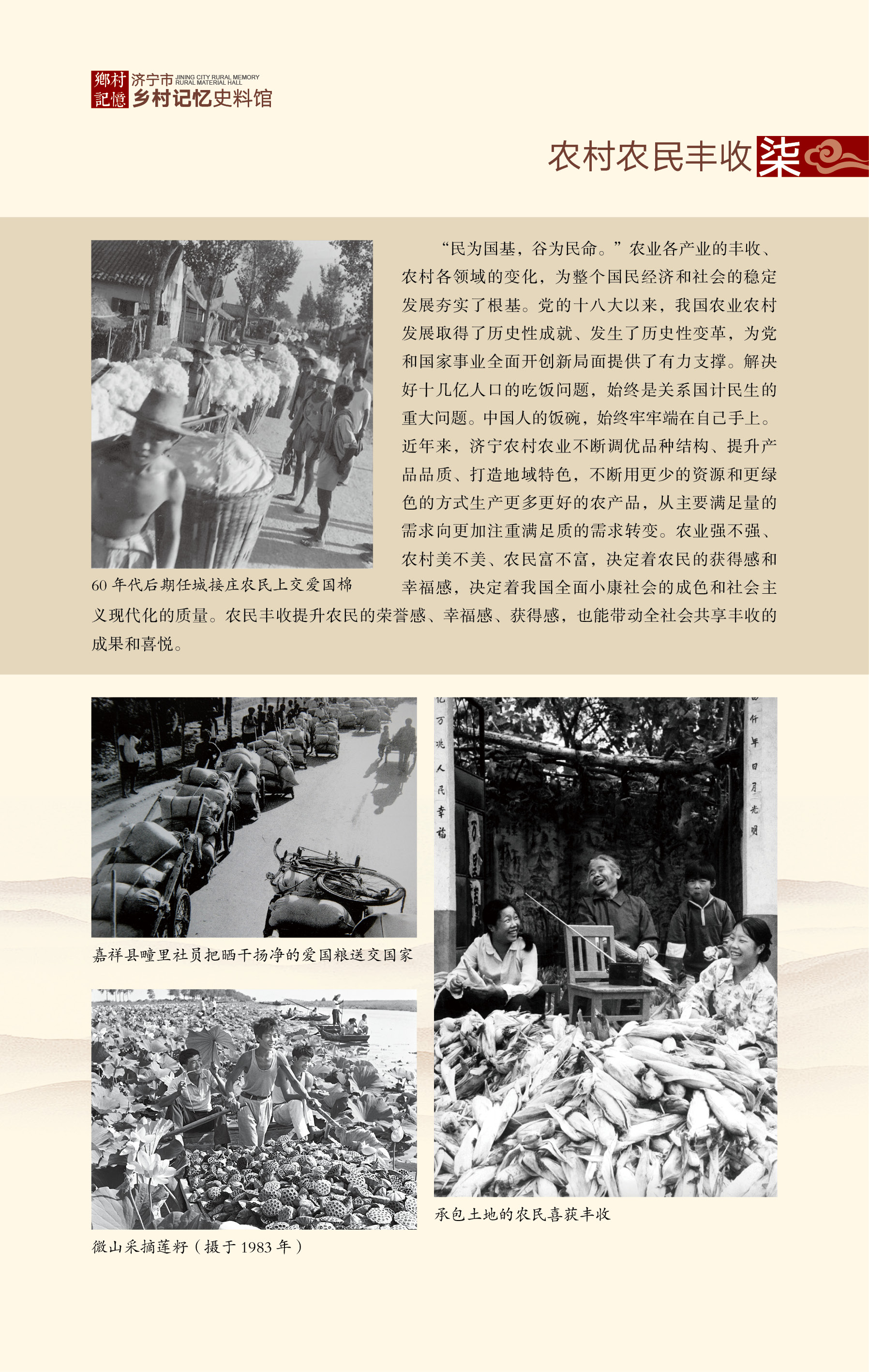 农村农民丰收